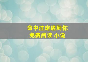 命中注定遇到你免费阅读 小说